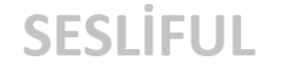 SesliFul.Com | Mobil Sesli Sohbet, Sesli Chat, Mobil Chat Sitesi 